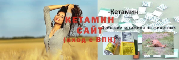 ГАЛЛЮЦИНОГЕННЫЕ ГРИБЫ Остров