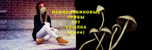 гидропоника Абдулино