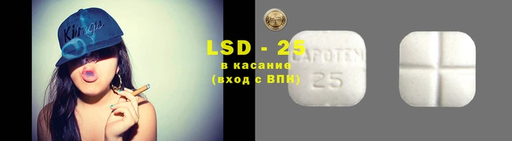 ПСИЛОЦИБИНОВЫЕ ГРИБЫ Осташков