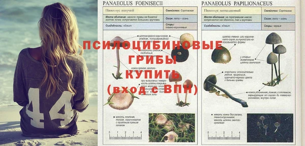 прущие крисы Алексеевка